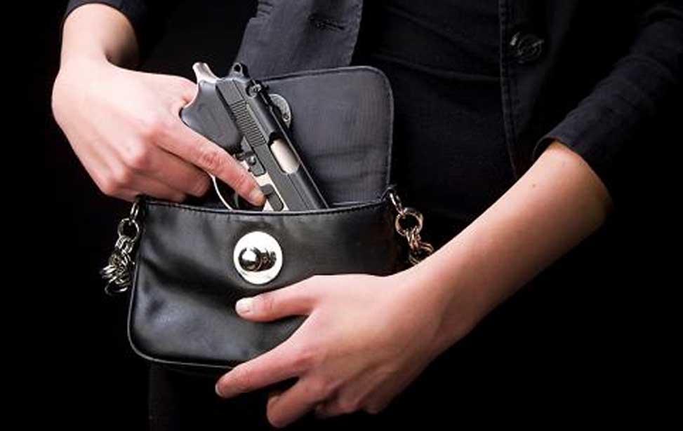 Ladies Only Basic Handgun Course & Texas LTC Course